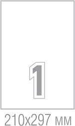      Tanex - 100     210 x 297 mm - 