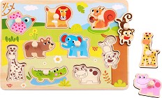 Tooky Toy TY857