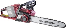    20V Raider RDP-SBCS20 Solo -       Garden Tools - 