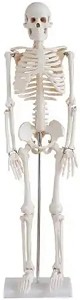      Gelsonlab - 20 / 80 / 15 cm - 