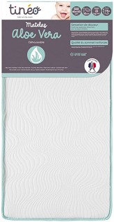     Tineo Aloe Vera - 60 / 120 / 10 cm - 