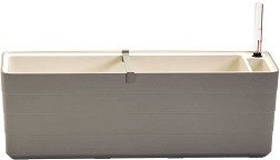    Plastia -   Berberis - 