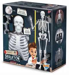 ���������� ����� �� ������� ������ - Buki France - � �������� 85 cm �� ������� ������ ������������ - �������