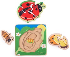 Жизнен цикъл на калинка - Многослоен дървен пъзел от 6 части — Bigjigs Toys 33029