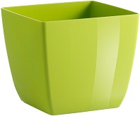   TeraPlast Santiago -   Colour - 