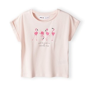   MINOTI - 100% ,   MINOTI Basics - 
