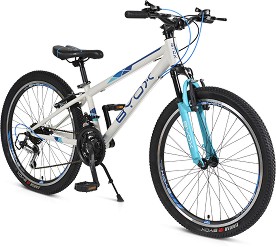  BYOX Master 24" -  21  - 
