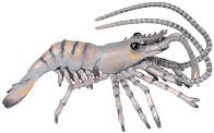 Фигурка на скарида Papo - От серията Морски животни — 56053