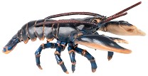 Фигурка на омар Papo - От серията Морски животни — 56052