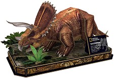 CubicFun DS1052h