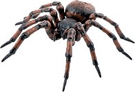 Фигурка на паяк Papo - От серията Животните в гората — 50292
