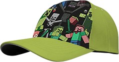   -   Minecraft - 