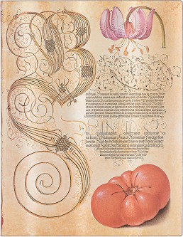 Тефтер Paperblanks Lily and Tomato - 18 × 23 см, с широки редове