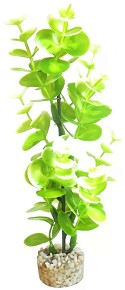     SYDECO BIO Aqua Eucalyptus - 