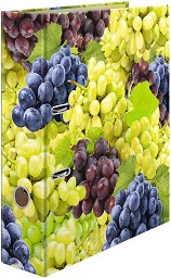   2  HERMA -  -   A4      7 cm   Fruits - 