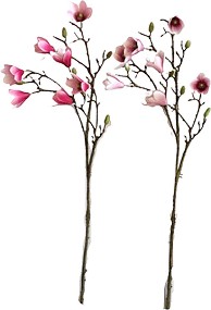   My Garden -   - 88 cm - 