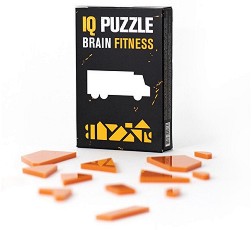 IQ Puzzle IQ0869