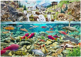 Богатството на природата - Пъзел от 1000 части на Ричард Макнийл — The House of Puzzles HP0825