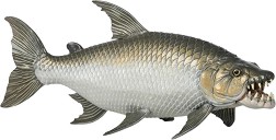 Фигурка Тигрова риба Голиат - Papo - От серията Морски животни — 56065