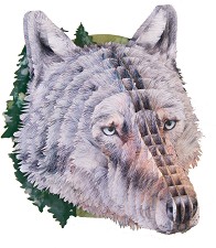 Вълча глава - 3D пъзел от картон — Gespaensterwald