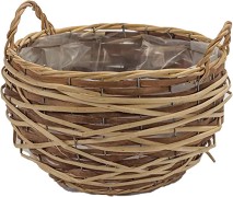   Bicolor - 