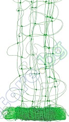        Herly - 5 - 50 m - 