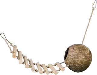     Nobby -   65 cm,   - 