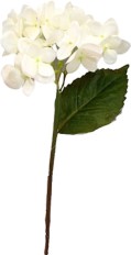   My Garden -   - 44 cm - 