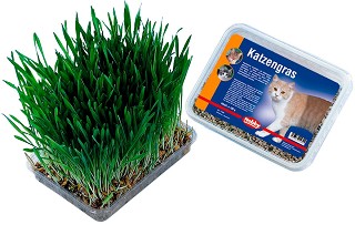   Nobby - 100 g - 