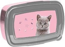 Кутия за храна - Paso - От серията Cat — PP24CT-3022