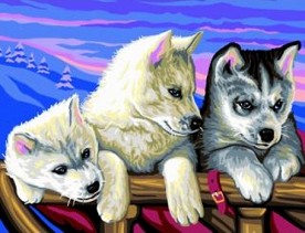 Нарисувай картина Sequin Art - Хъскита - Творчески комплект с акрилни бои — 1036