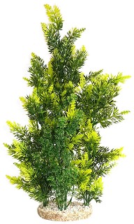    SYDECO Aquaplant Giant - 