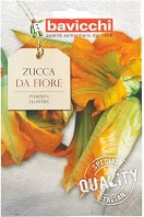       - Cucurbita maxima - 3 g   Geo - 