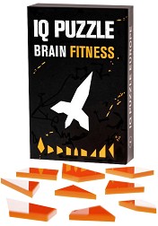 IQ Puzzle IQ0234