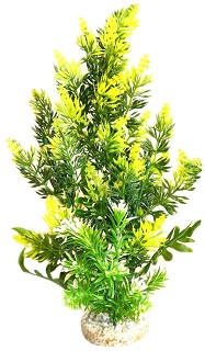    SYDECO Aquaplant X-Large - 