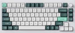     Keychron Q1 HE - 75%, Bluetooth, USB-C, RGB , ANSI Layout, Gateron Double-Rail Magnetic Nebula - 