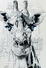 �������� � ������ ������ - 