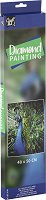   Grafix - 