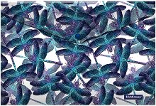    Erich Krause Neon Dragonflies