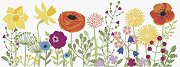    Heyda - 
