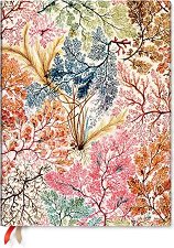 ������-������ Paperblanks Anemone 2026 - 