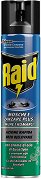      Raid