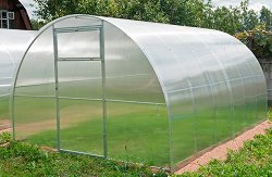 ��������� Primaterra Plus