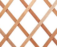 ������� ������� �� ������ �������� Nortene Trelliwood