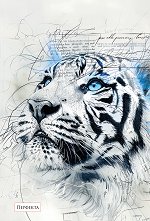 ��������-������ � 2 ������ - 