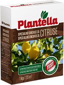 ���������� ��� �� ������� Plantella