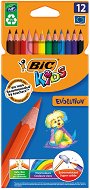   BIC Evolution