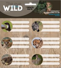    - The Eyes of the Wild - 