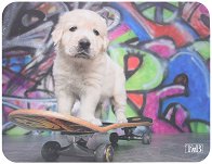    T'nB Puppy
