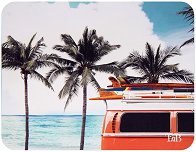    T'nB Roadtrip
